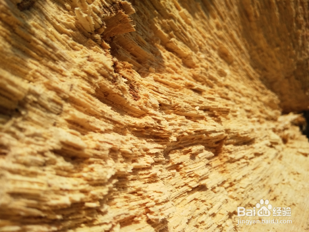 照亮你的美vivo X7上手体验