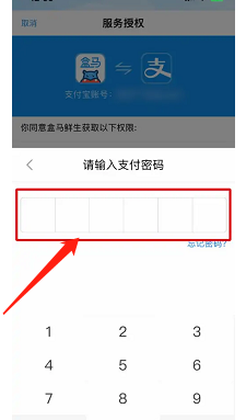 盒马怎么开启付款二维码