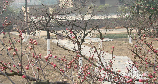 冬天自驾游去哪里好