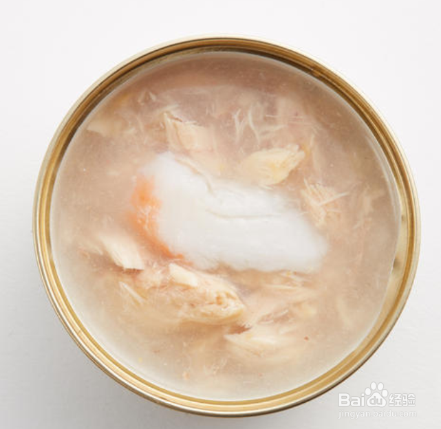 猫咪喜欢哪些东西?