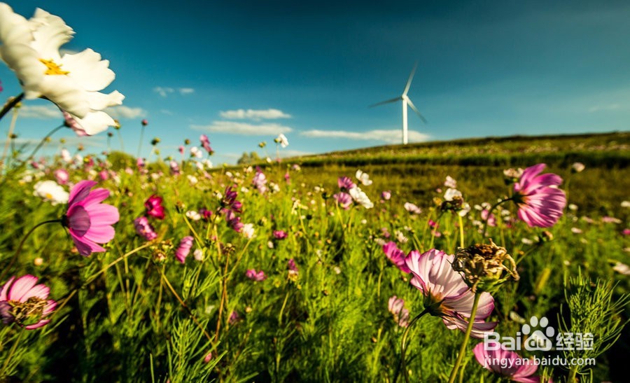 草原天路,不可缺席的身心旅行