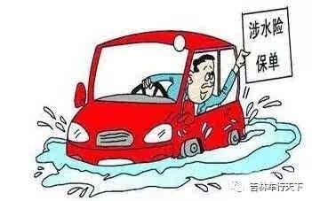 没买车损险补救方法