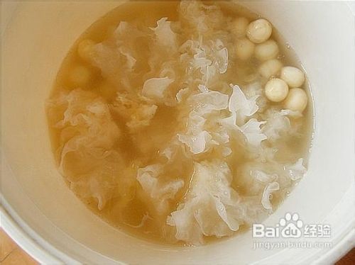 就这样一直美下去——银耳莲子薏仁汤