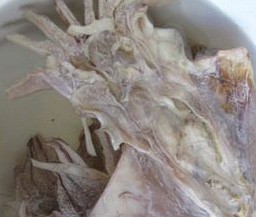海鲜处理有妙招之一（墨鱼干）