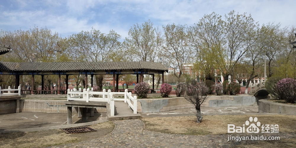 教学设计制作要求说明