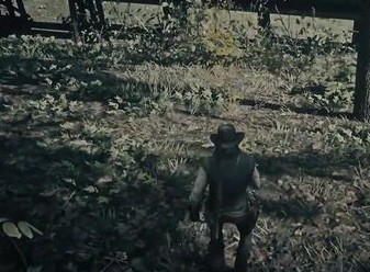 荒野大镖客2哪里河狸多