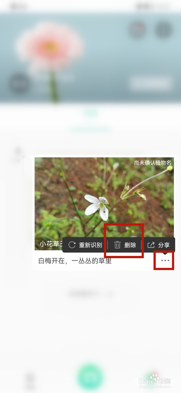 形色中已识别过的植物照片怎么删除