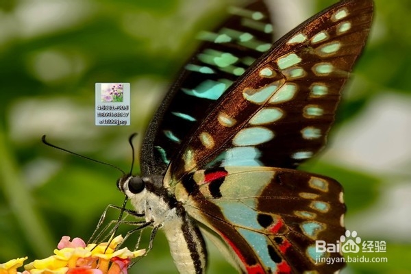 上班族须知电脑文件基本操作：[2]移动复制篇