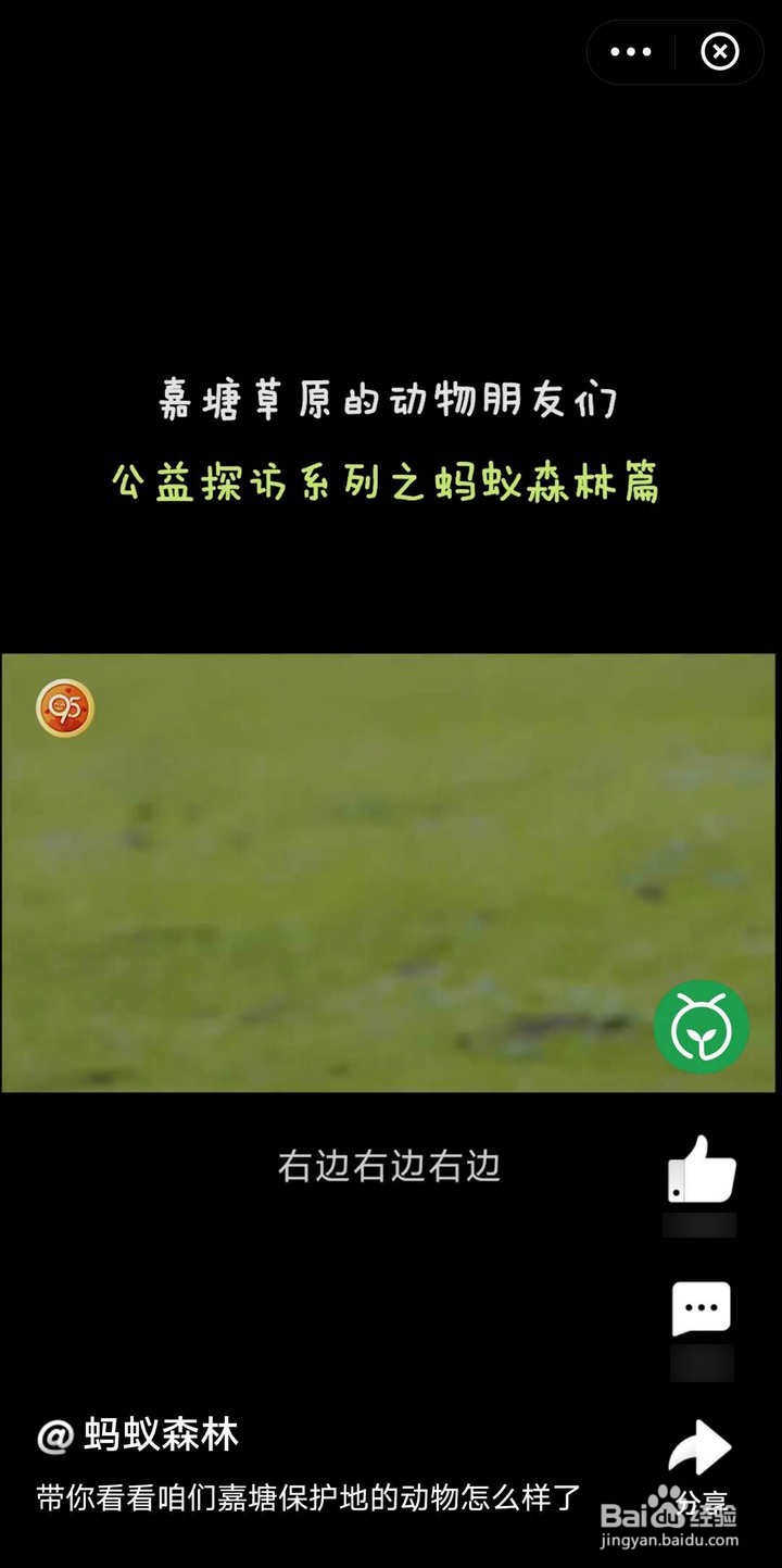 95公益周观如何看公益故事领蚂蚁庄园挂件