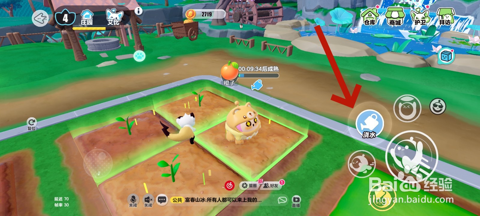 蛋仔派对游戏中给橙子树浇水的教程