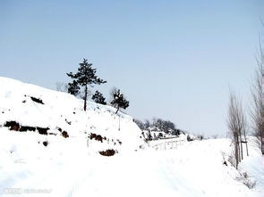 野外迷失方向该怎么办