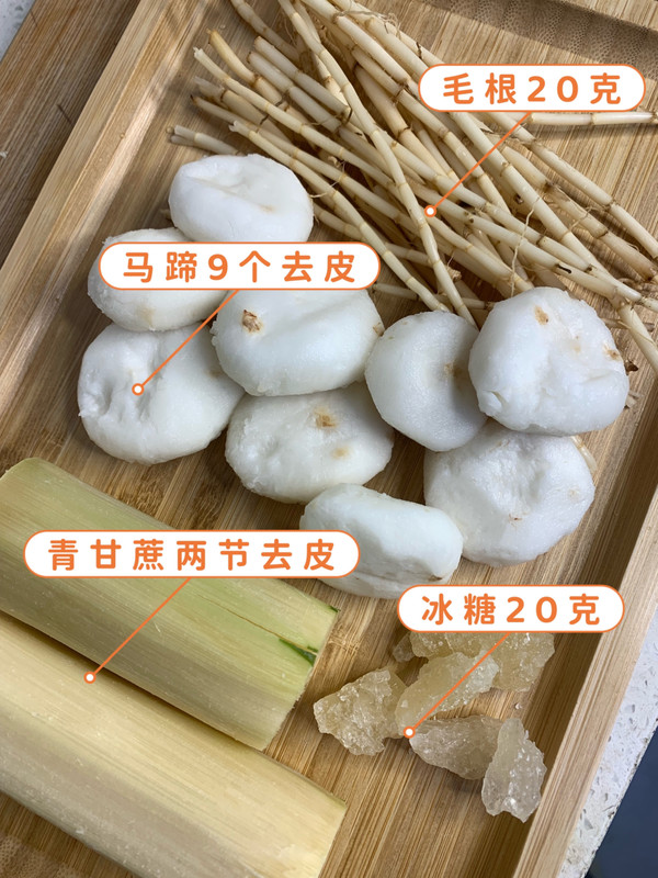 毛根竹蔗马蹄水