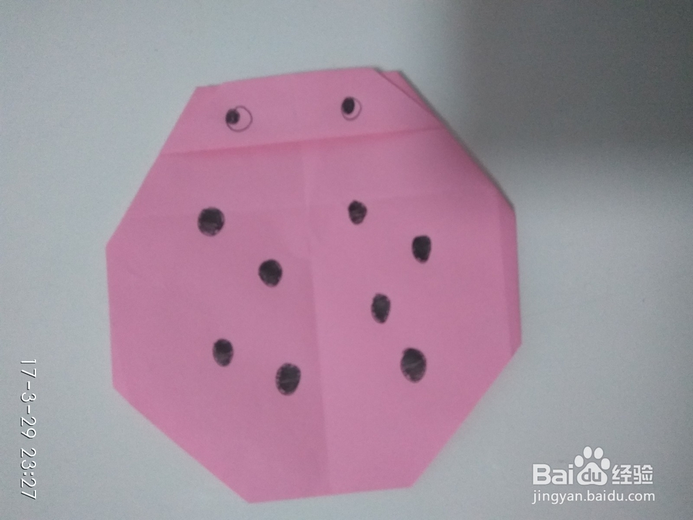 <b>三迪科普：可爱的折纸瓢虫</b>