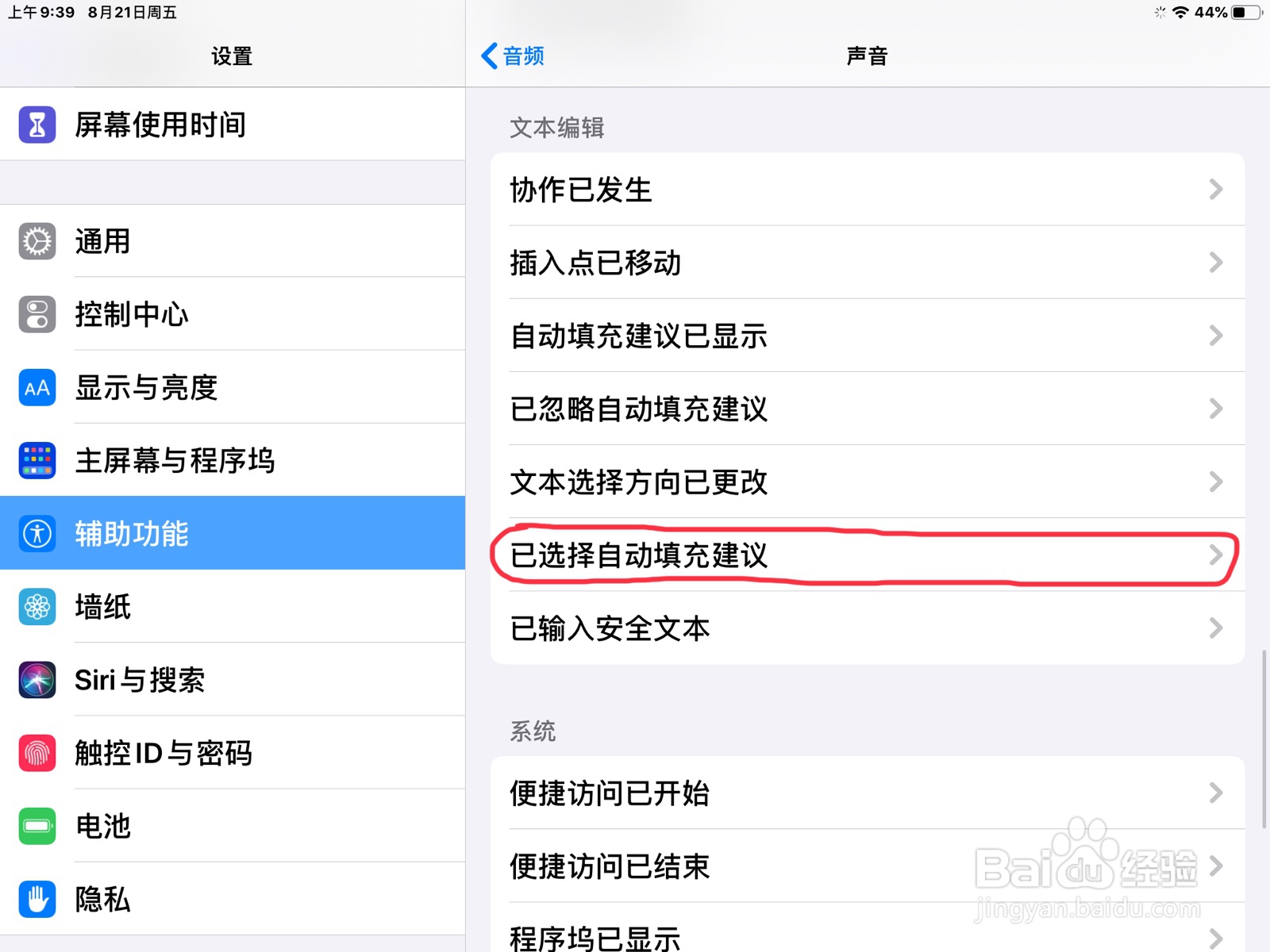 iPad怎么在旁白设置已选择自动填充建议的预览