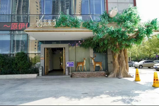 【尚智张海】春天来了 · 尚智咨询年度服务顾问项目 正式启动