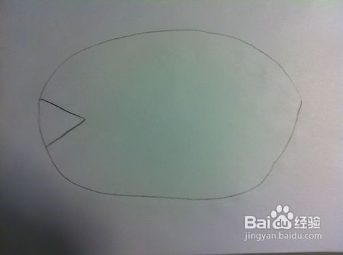 教你画动物——小鱼