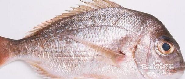 这些食物有利于增高！