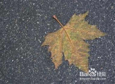 婚姻小秘书：[59]旧情书该扔掉吗？