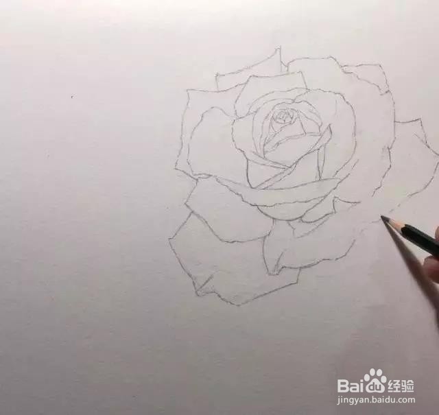 水彩玫瑰花的画法