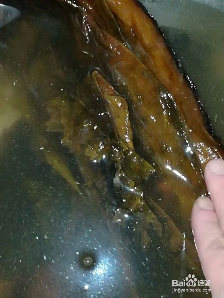 海带的浓香吃法