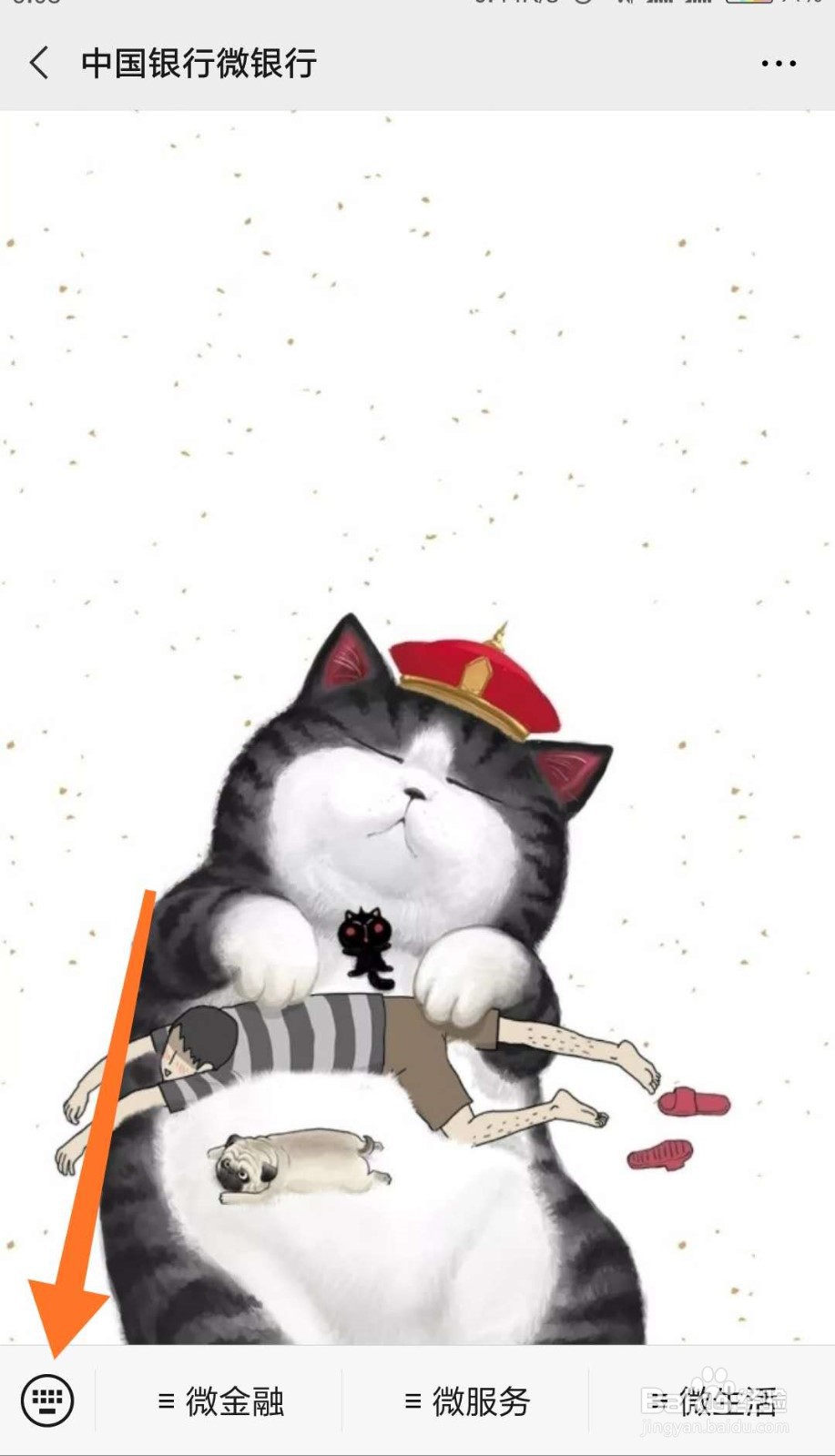 怎样查银行卡的开户支行