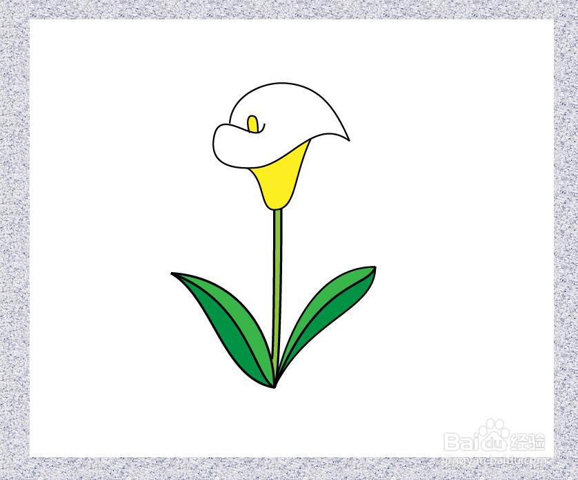 马蹄莲的简笔画怎么画