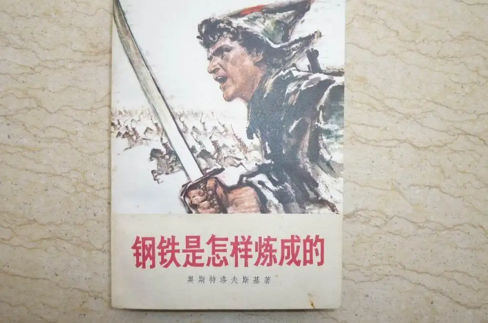 《钢铁是怎样炼成的》七到九章概括是什么