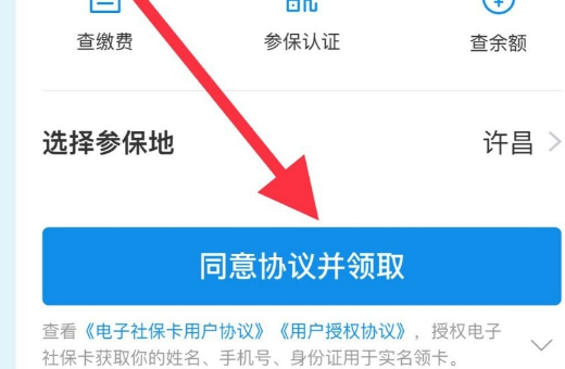 怎么查询农村合作医疗是否缴费