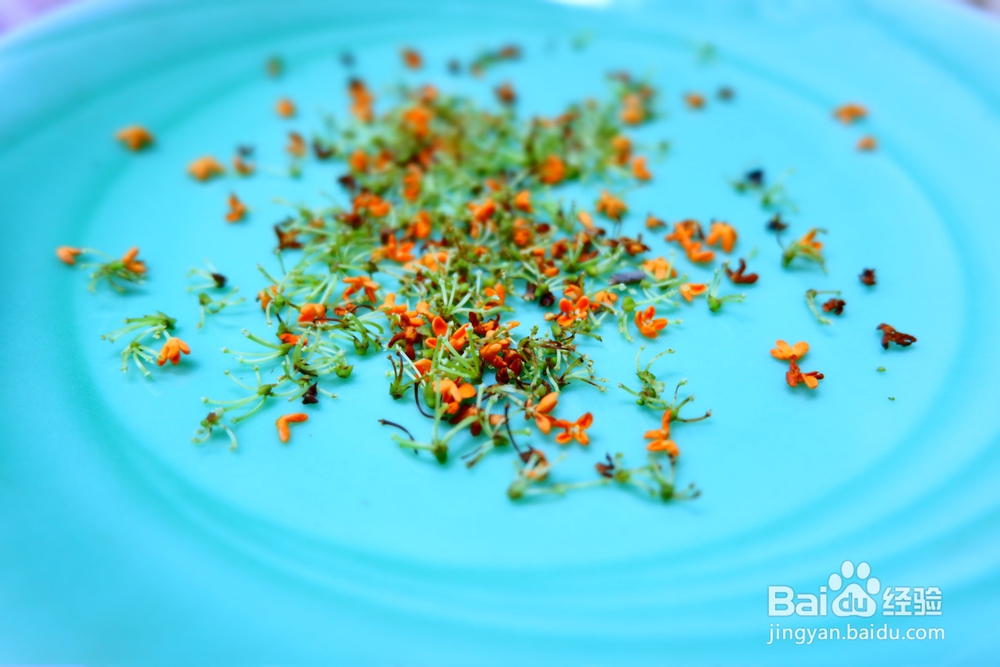 香气浓郁的石榴酒山楂酒