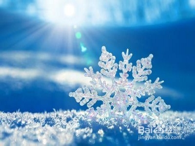 大四已保研同学如何规划好自己的大四生活？