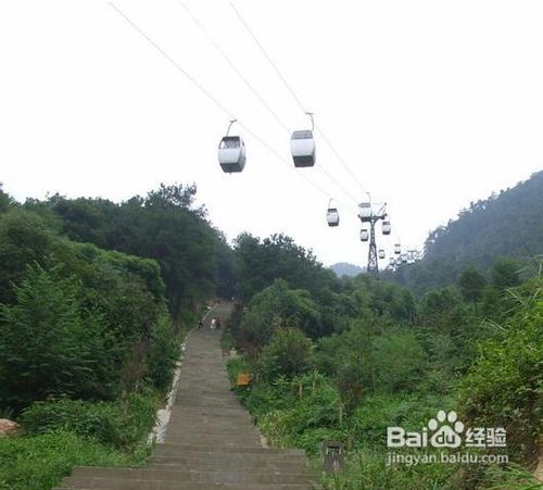 春季重庆踏春好去处