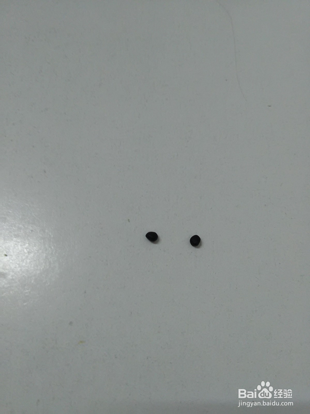 用面怎么捏狗狗汪汪队毛毛