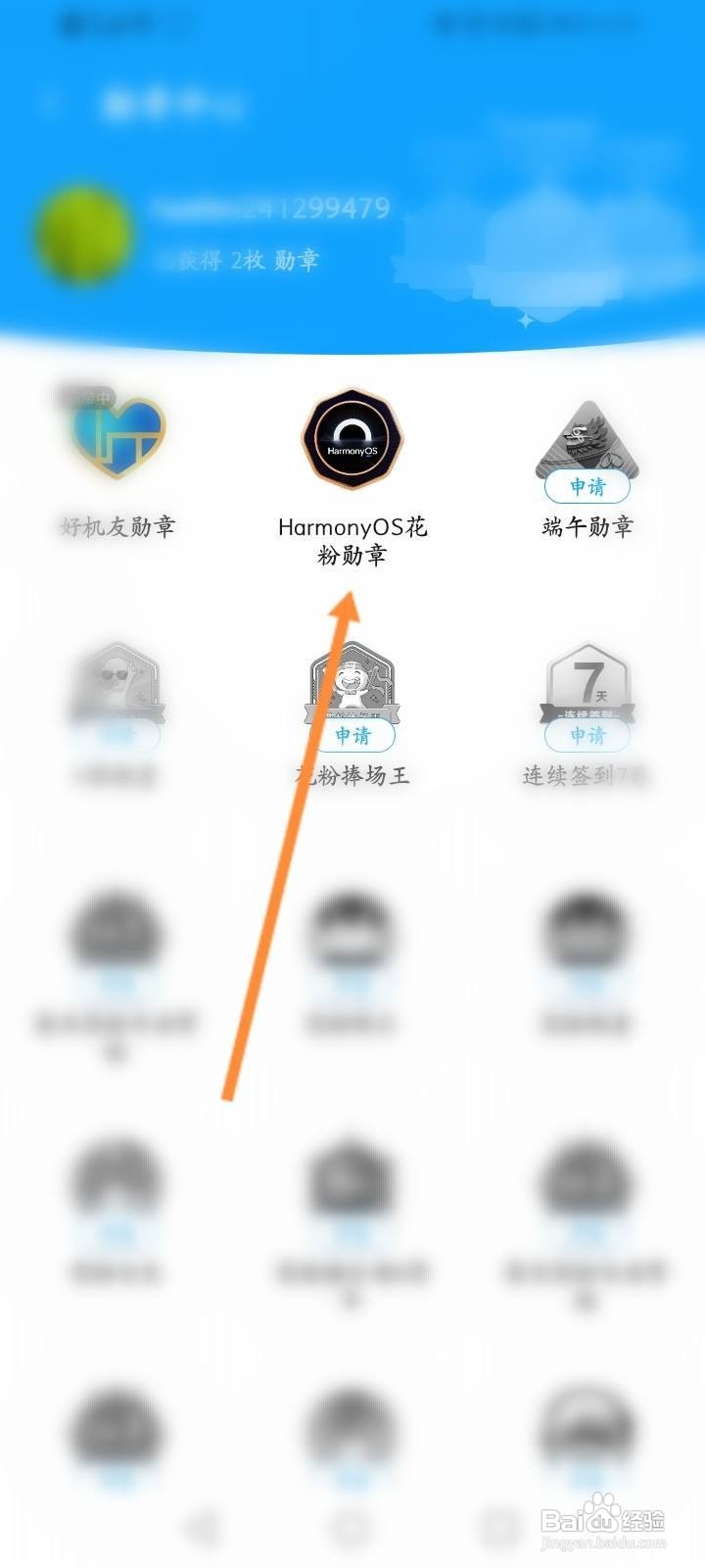 花粉俱乐部怎么佩戴勋章