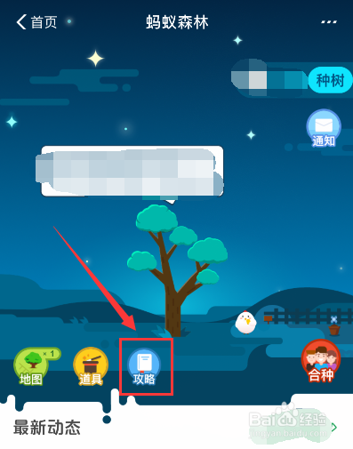 蚂蚁森林怎样不让好友看到自己的行走步数