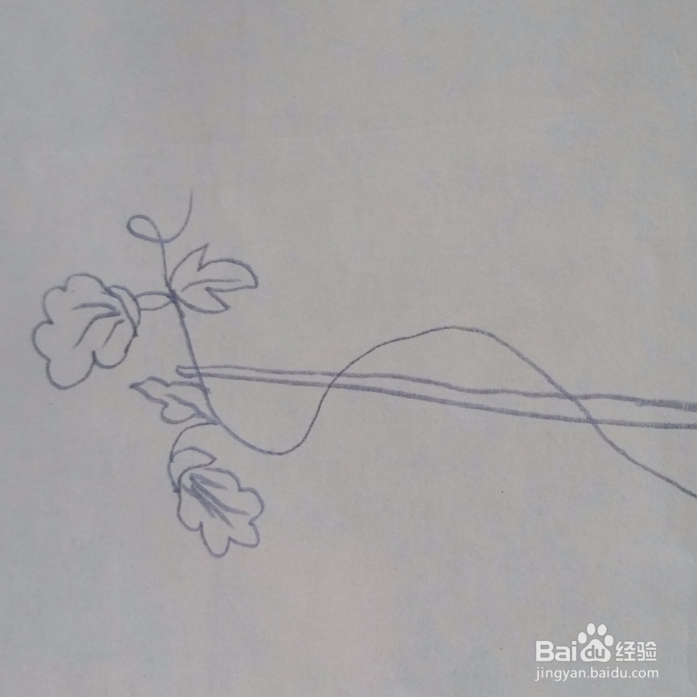 儿童简笔画牵牛花
