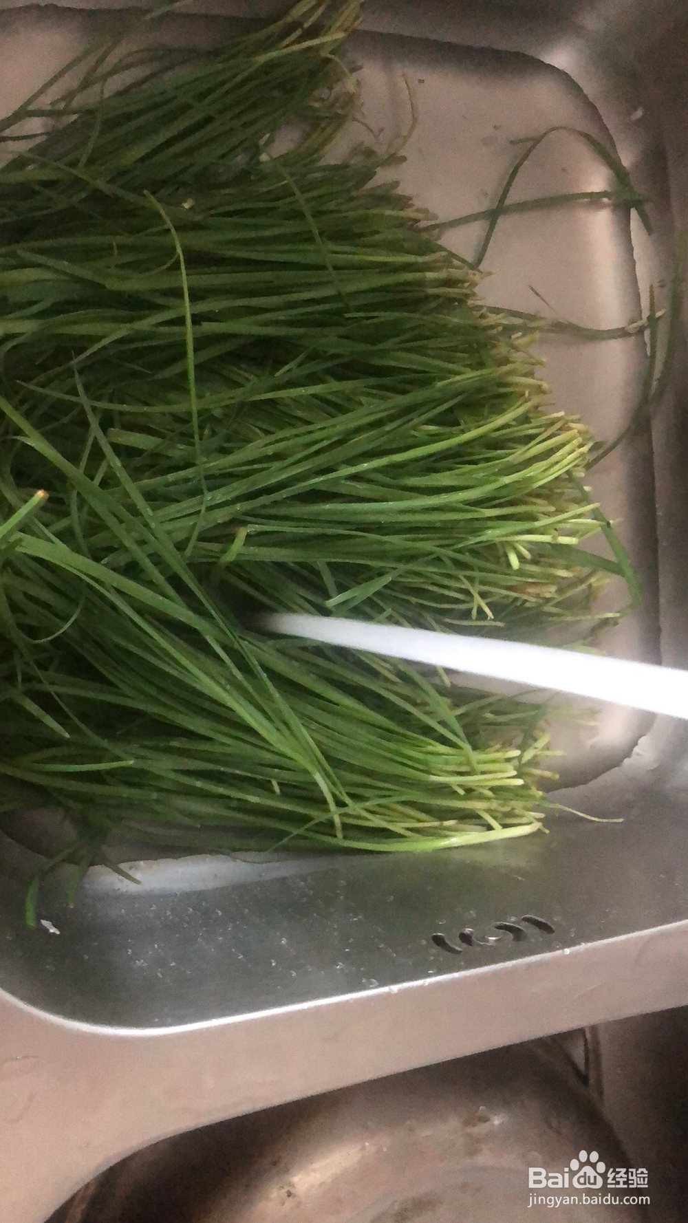 简单无压力的黄瓜馅饺子