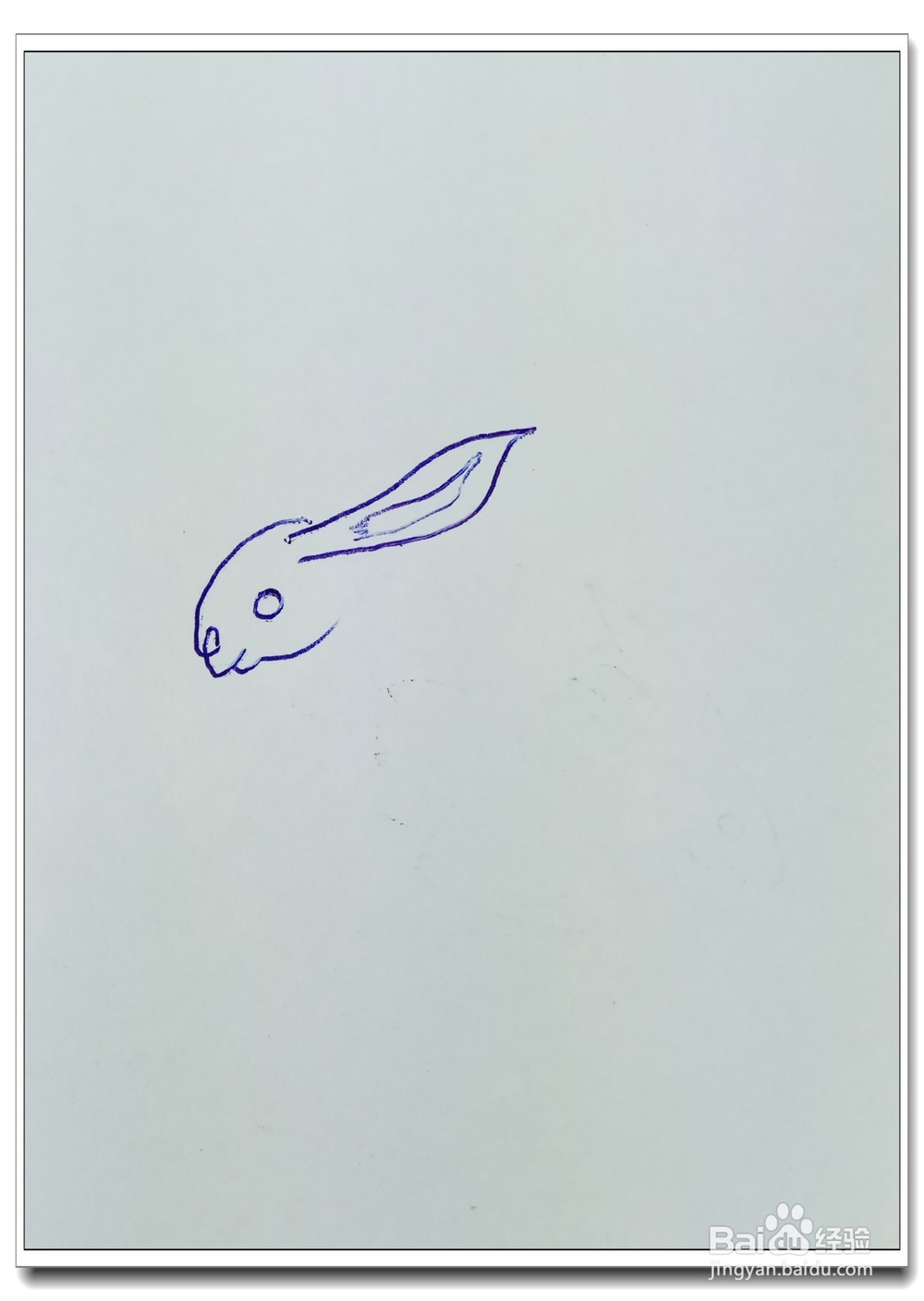 怎样画简笔画“可爱的小白兔”?