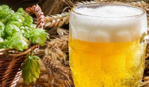 啤酒喷花叶的正确方法是什么