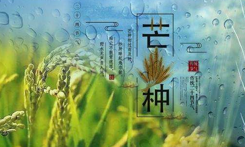 说明各地方风俗不同的俗语