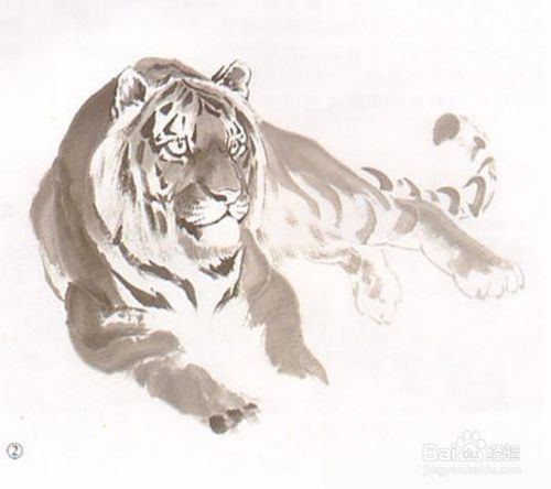 国画教程 水墨老虎画法步骤 百度经验