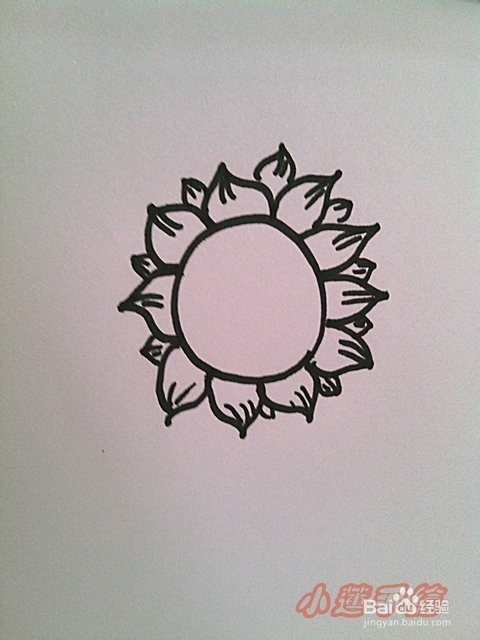 油画棒植物篇3向日葵