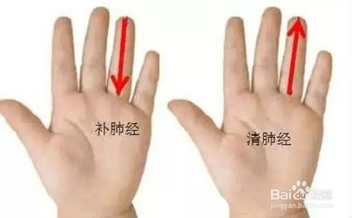 或补肺(1~3分钟)(经常咳嗽一两个月,干咳,气虚的孩子) 2 手法二:补脾