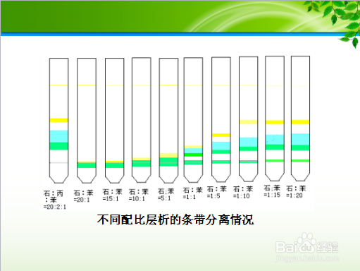 简易环保提取提取植物色素