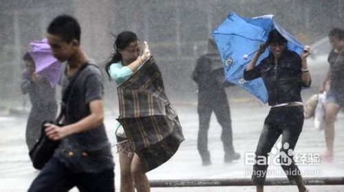 台风怎样避险防灾