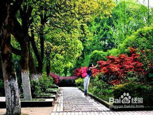 元旦南昌游玩景点推荐