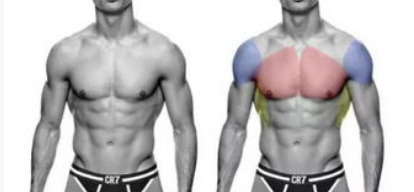 瘦人如何快速增肌