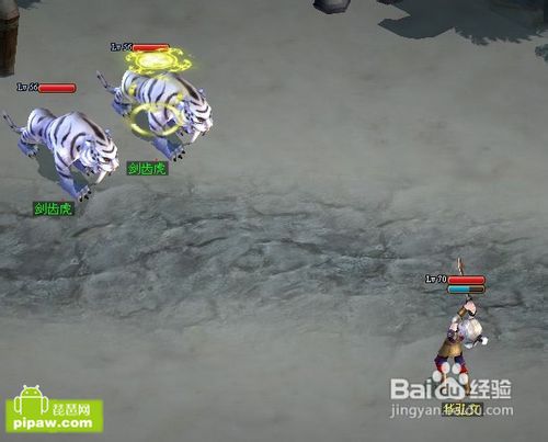 魔与道五行全方位攻略