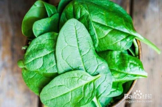 补脑的八种食物