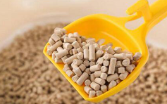 养猫后有什么变化？