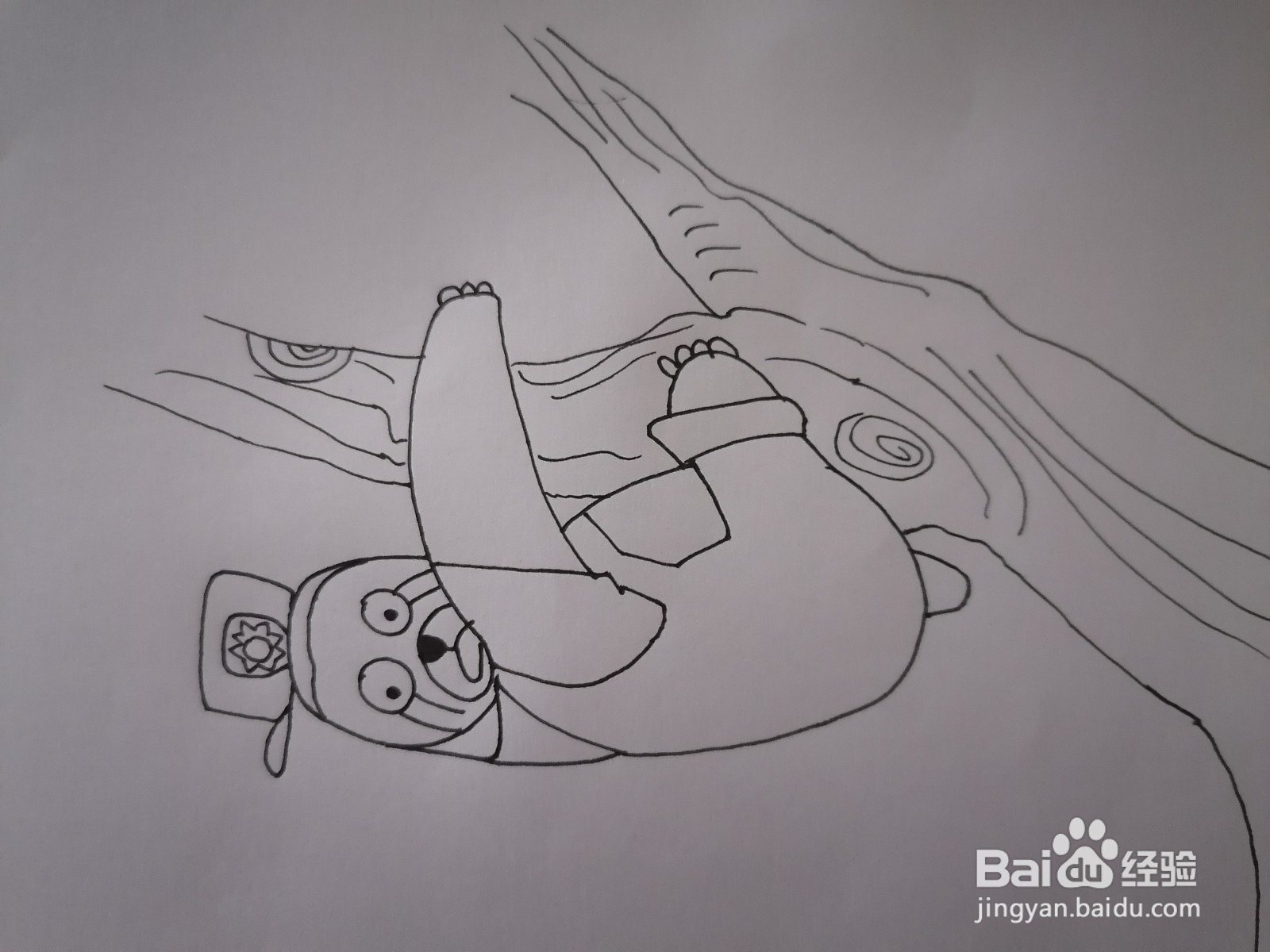 终年栖居树上的拟猴怎么画